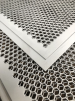 PERFORATED METAL SHEET - 图片 8
