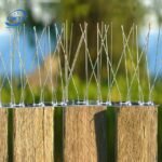 SS304 BIRD SPIKES - Image 4