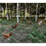 GALVANIZED HEXAGONAL NETTING - Image 2