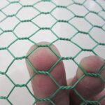 GALVANIZED HEXAGONAL NETTING