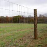 GALVANIZED CATTLE FENCE - Image 5